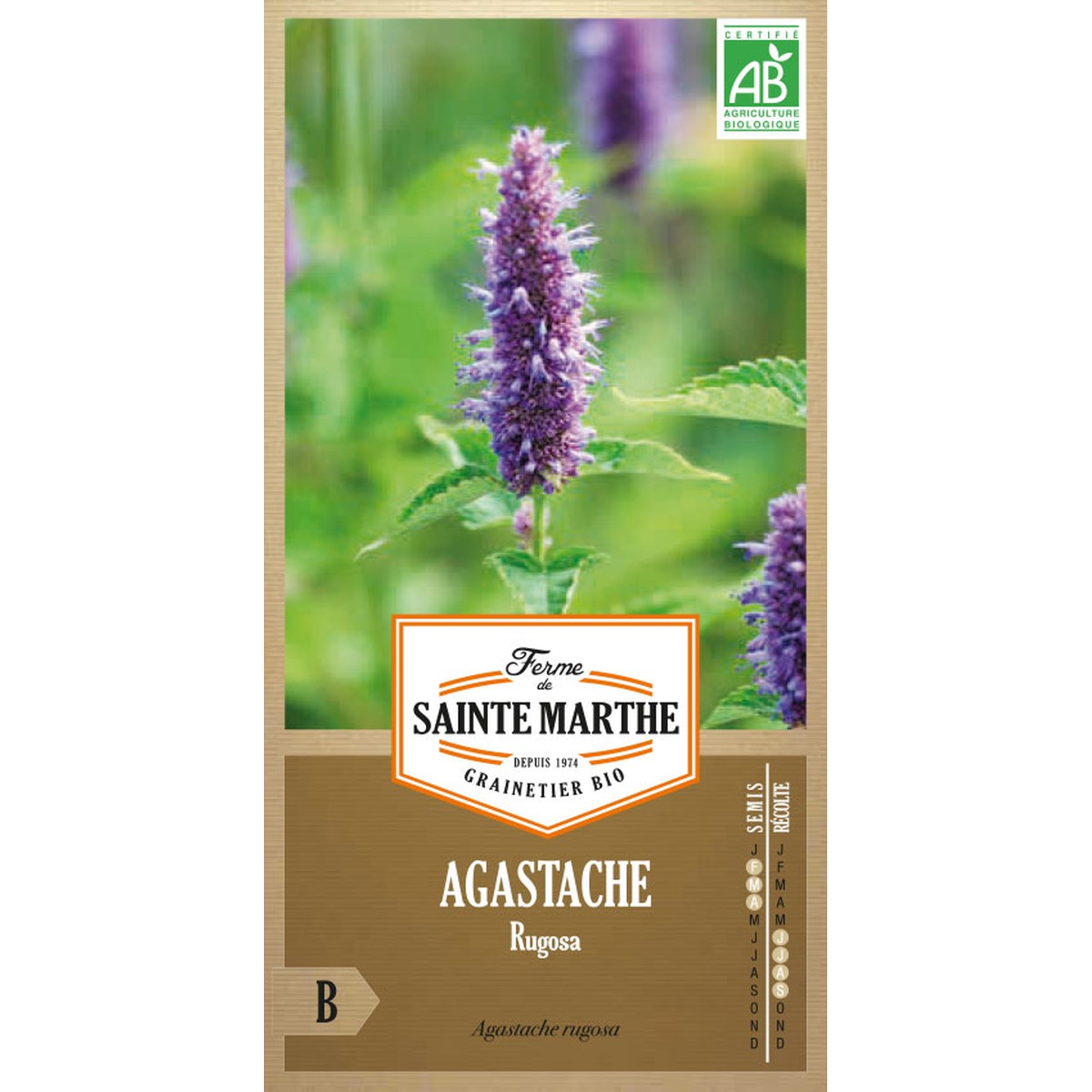 Ferme de Sainte Marthe  Agastache Rugosa  Environ 200 Graines