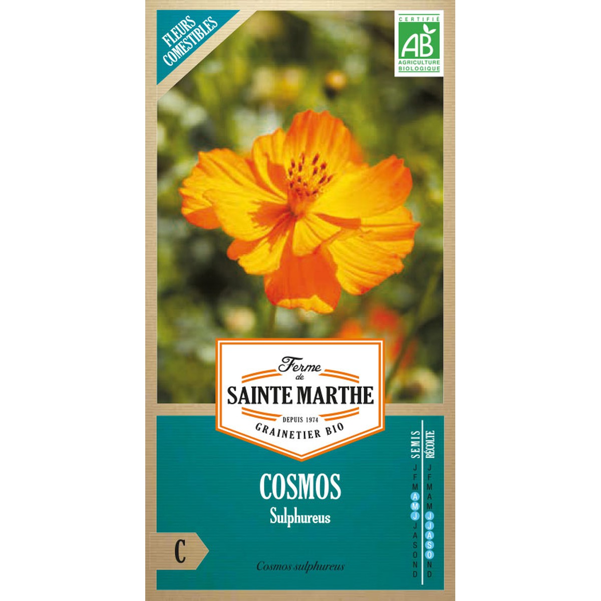 Ferme de Sainte Marthe  Cosmos Sulphureus Varié  Environ 120 Graines