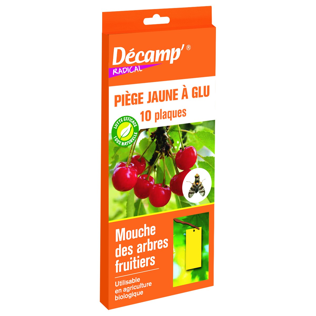 Décamp  Piege Plaque Glu Jaune Contre Les Mouches Des Arbres Fruitiers  10 PIEGES