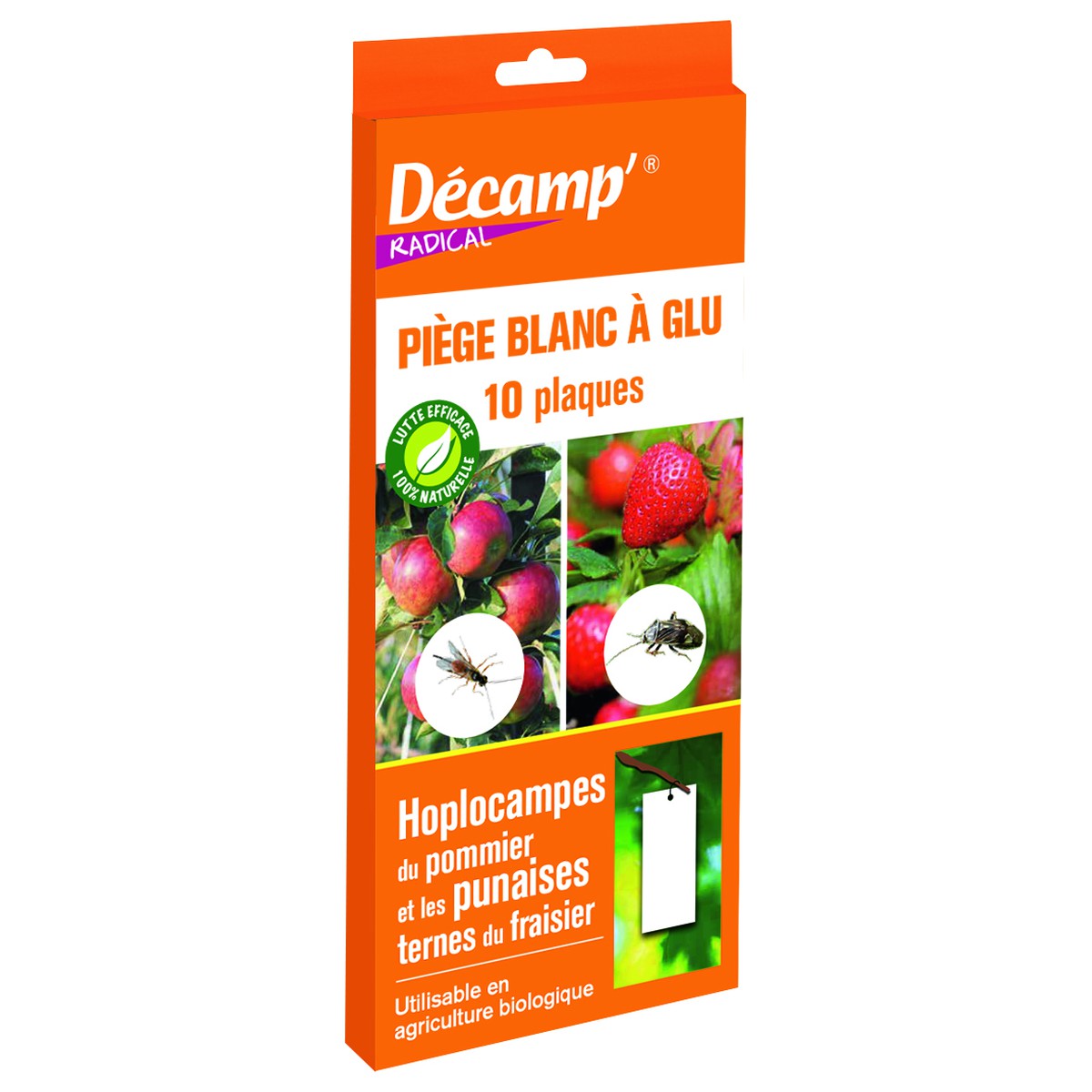 Décamp  Piege Plaque Glu Blanc  Contre Les Hoplocampes Du Pommier et Les Punaises Ternes Du Fraisier  10 PIEGES